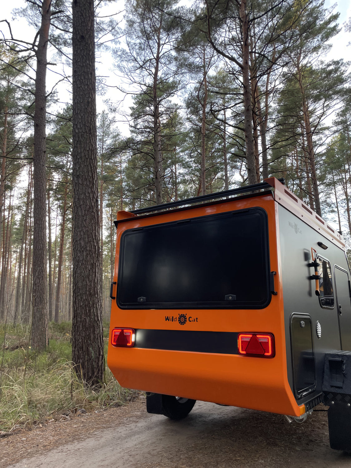Wildcat-Camper Maximum-  Neufahrzeug (MwSt. ausweisbar)
