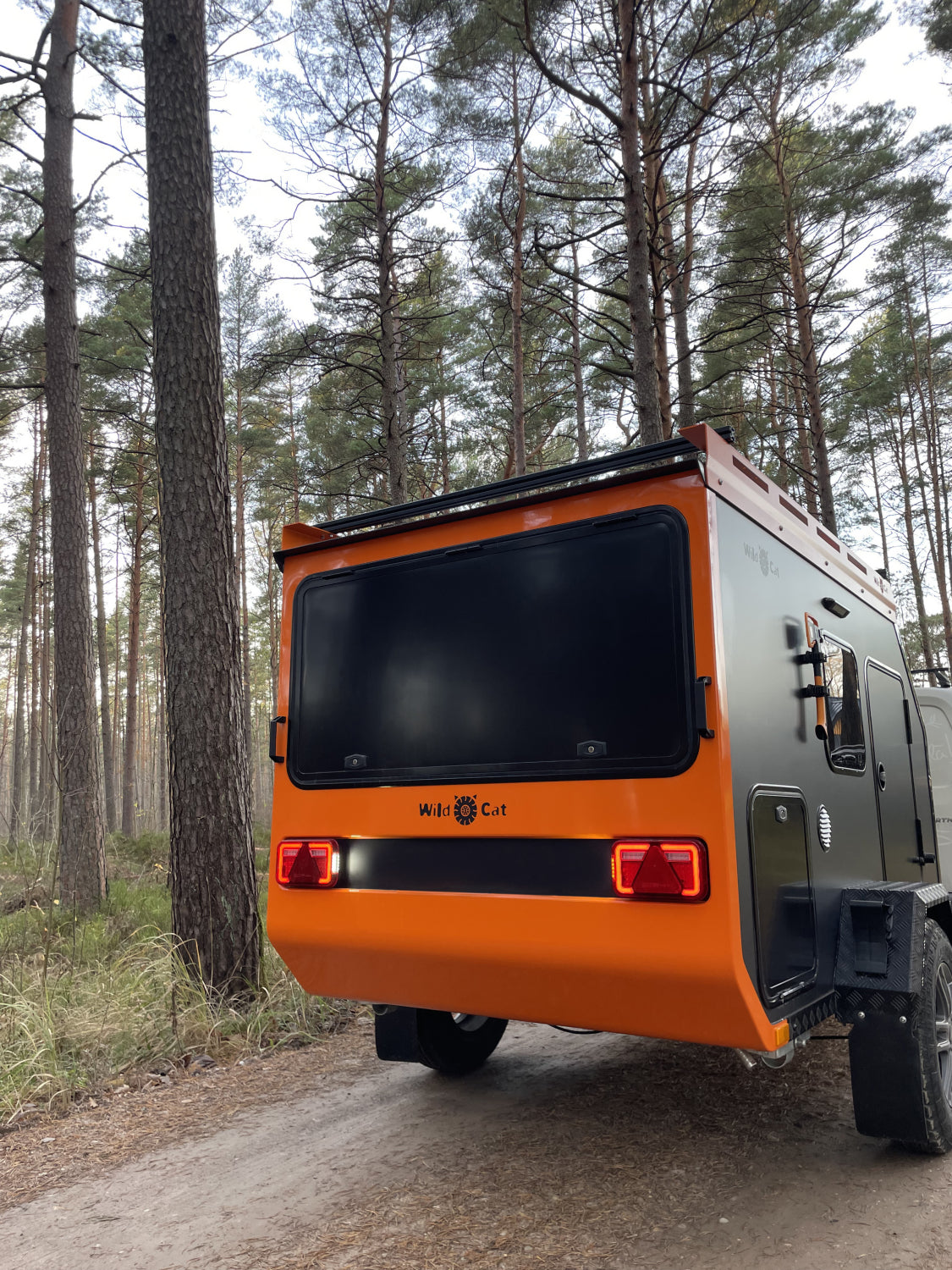 Wildcat-Camper Maximum-  Neufahrzeug (MwSt. ausweisbar)