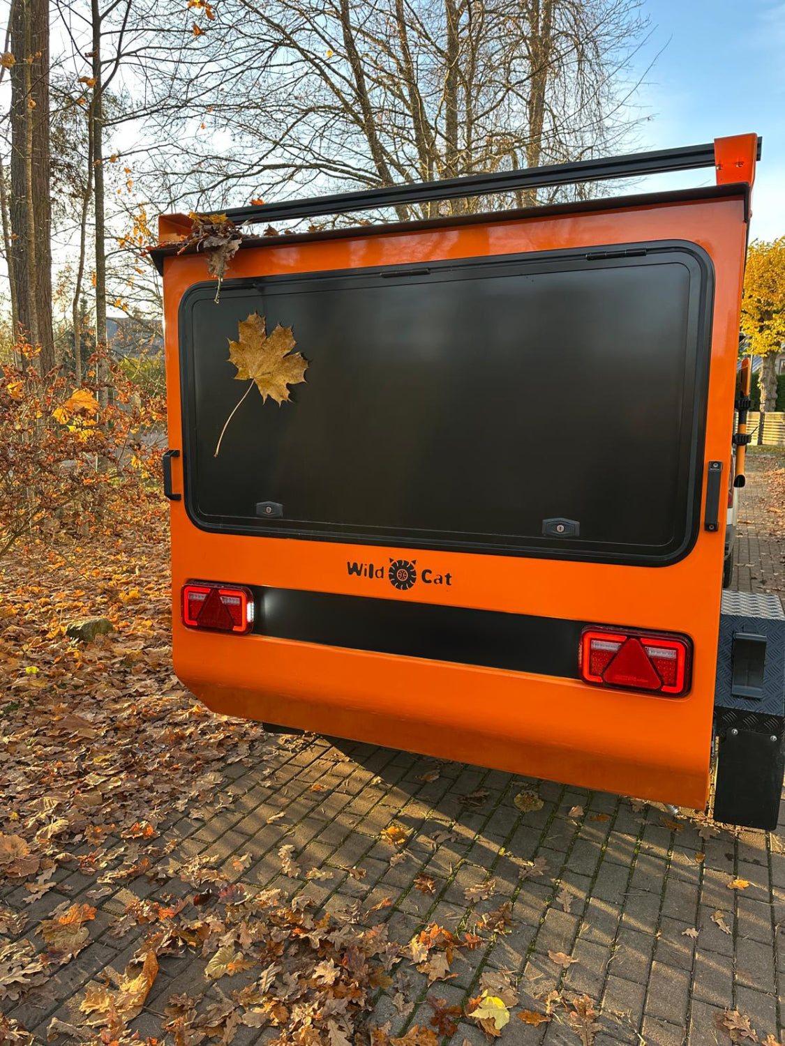 Wildcat-Camper Maximum-  Neufahrzeug (MwSt. ausweisbar)